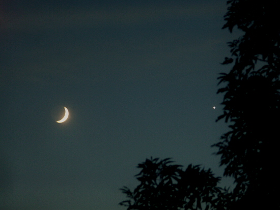 lune vénus.jpg