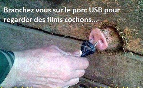Porc USB.jpg
