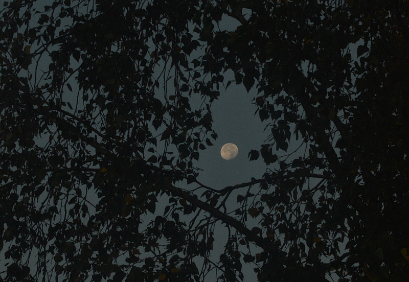 25.09.lune.jpg
