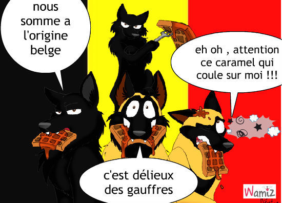 chien-berger-belge-humour-30516.jpg