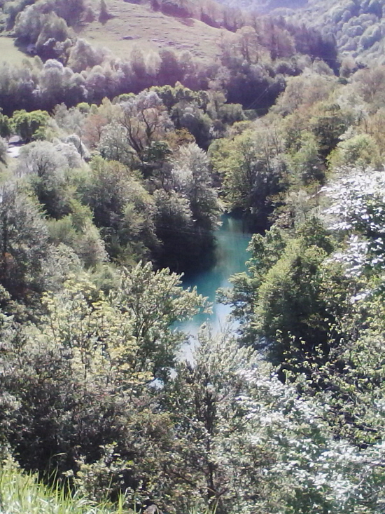 vue d'en haut.jpg