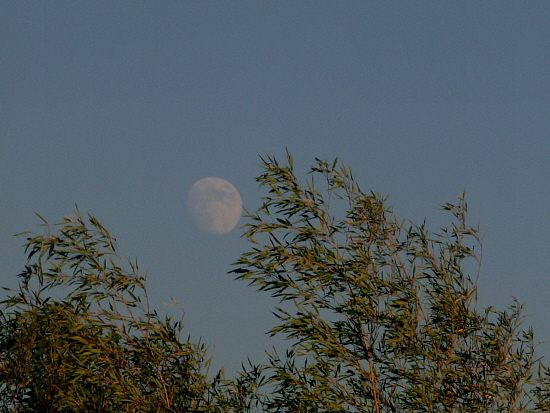 lune24072018.JPG