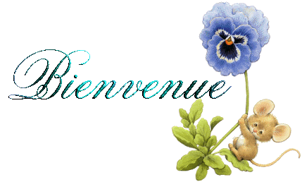 bienvenue2.gif