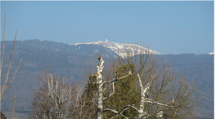 Capture d’écran 2019-04-21 à 07.45.54.png