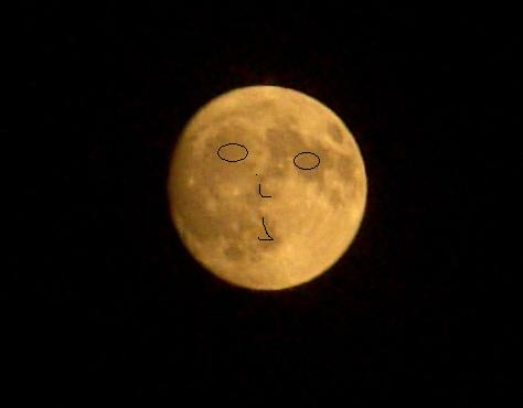 Visage lunaire.jpg