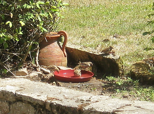 terrasse.JPG