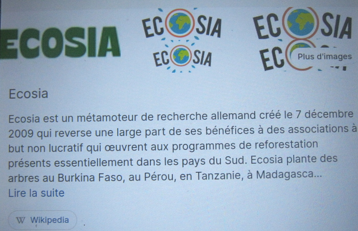 ecosia.JPG